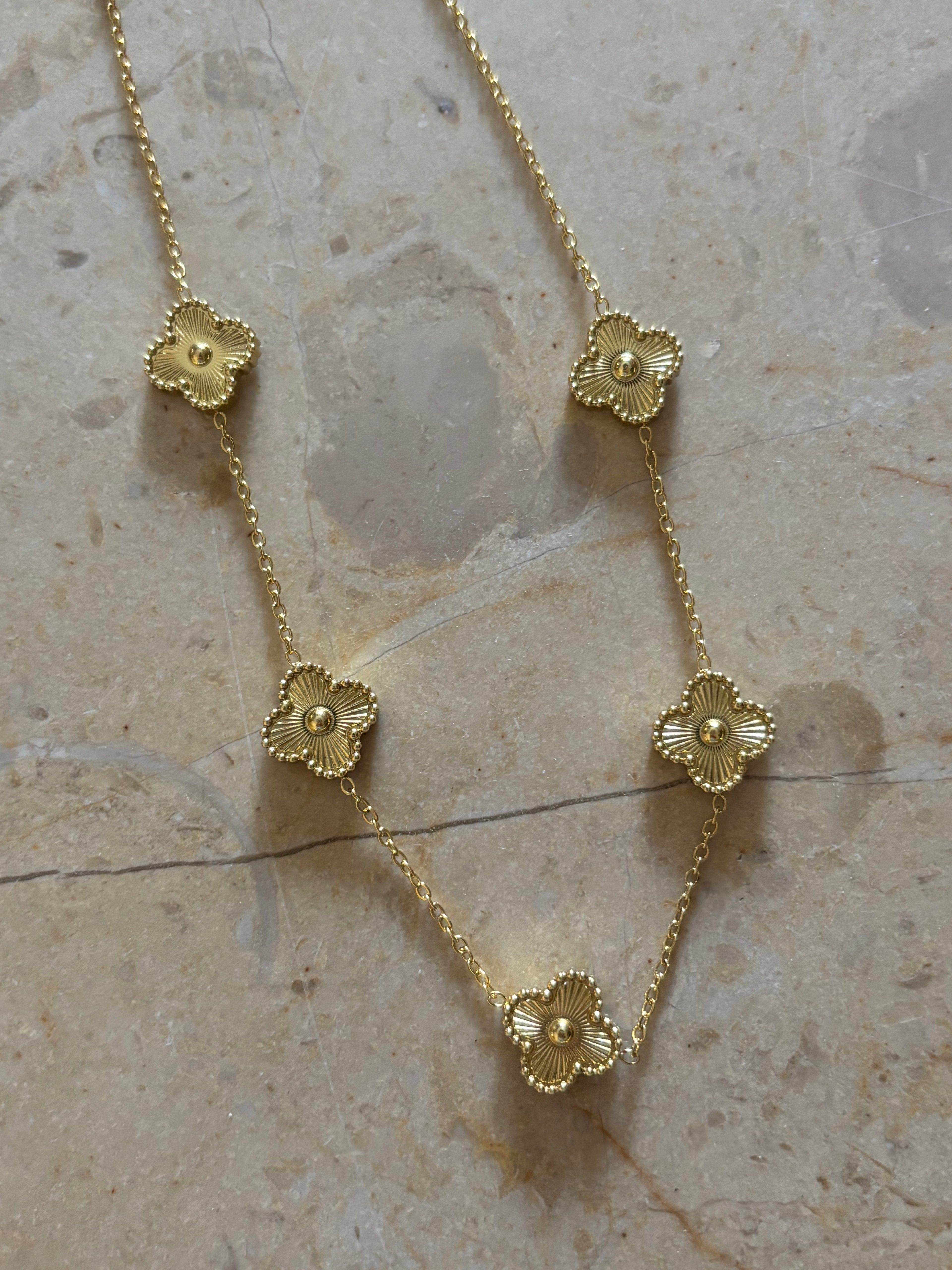 VC 5 motifs