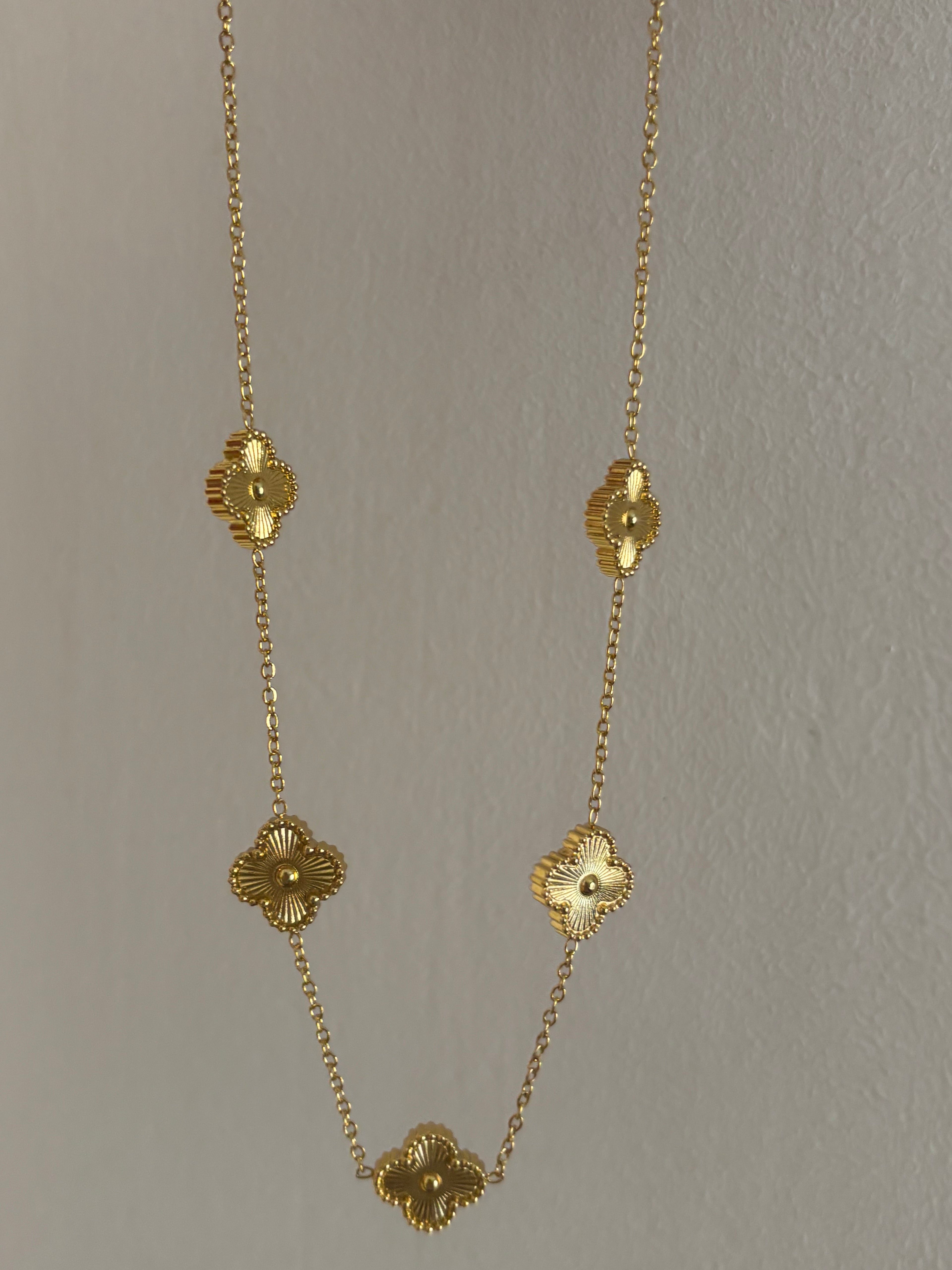 VC 5 motifs