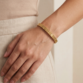 elastic cartier